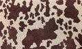 Cowhide Coir Door Mat